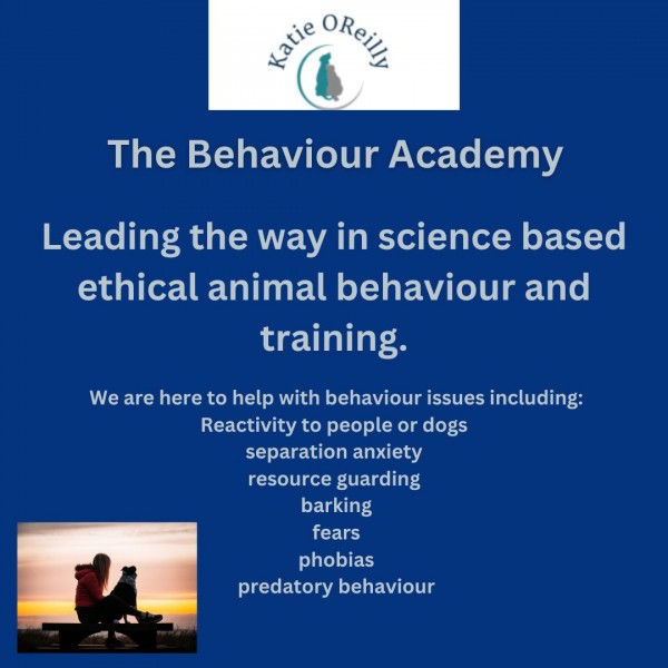 1 month behaviour academy package