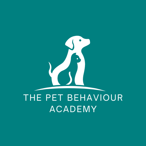 1 month behaviour academy package