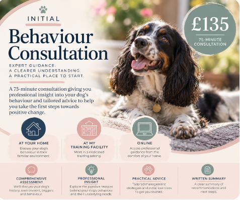 Initial Behaviour Consultation 75 minutes Initial Behaviour Consultation 75 minutes